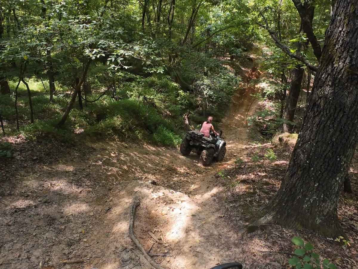 SIP Off Road Trail photo 5