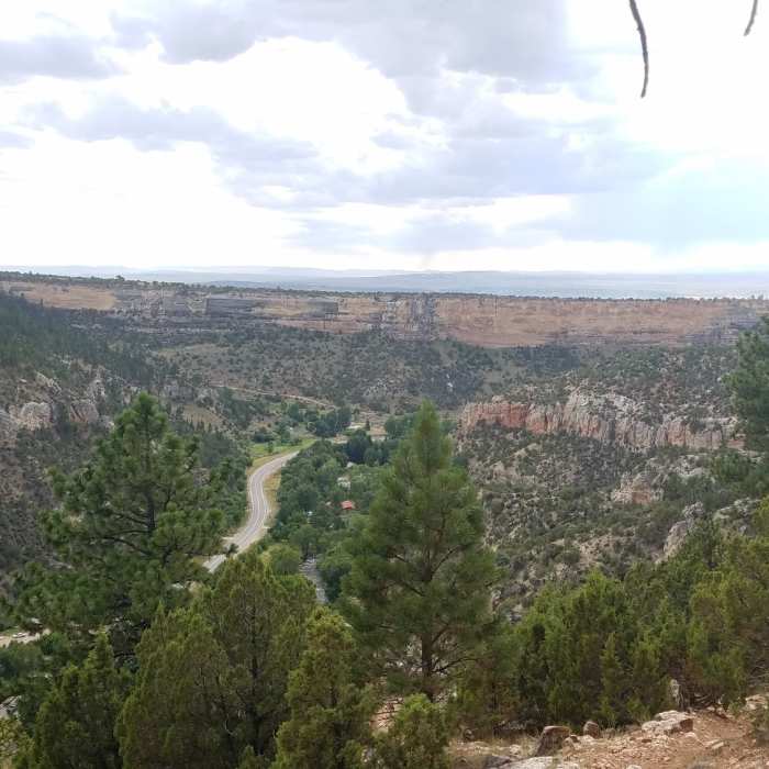 Near Salt Lick Loop Trail