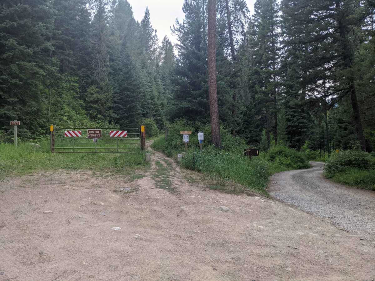 Wicked Creek Loop photo 6