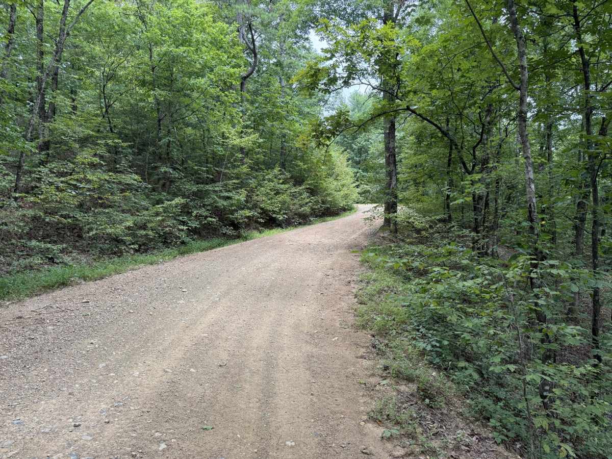 Polk County Road 36 trail photo