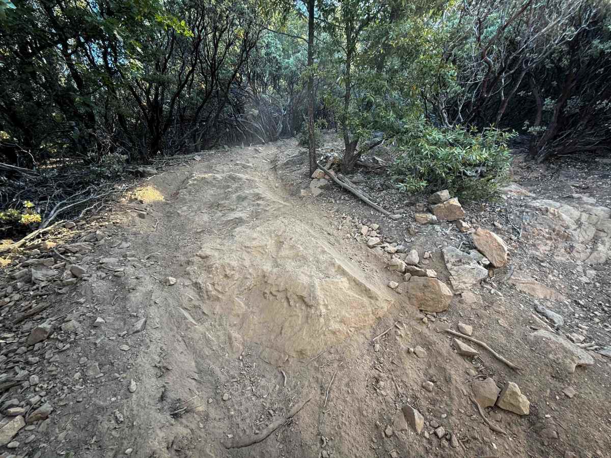Trail 4-2 (11E25)  photo 2