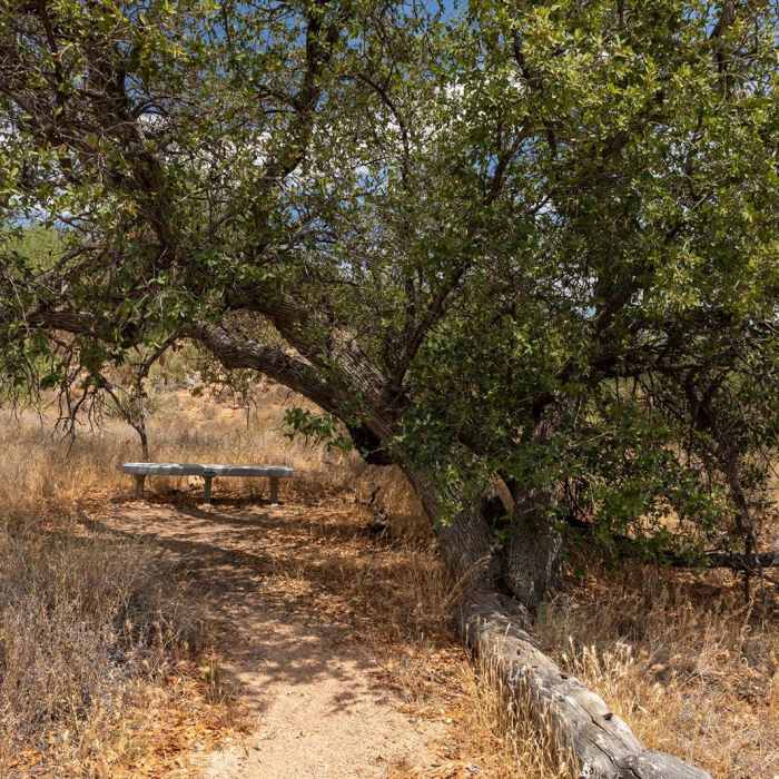 Near Nature Trail Loop