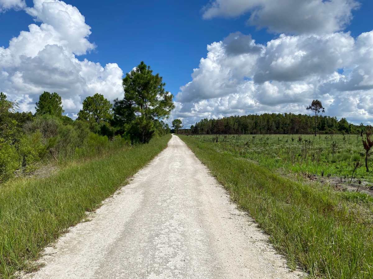 Ridge Road photo 4