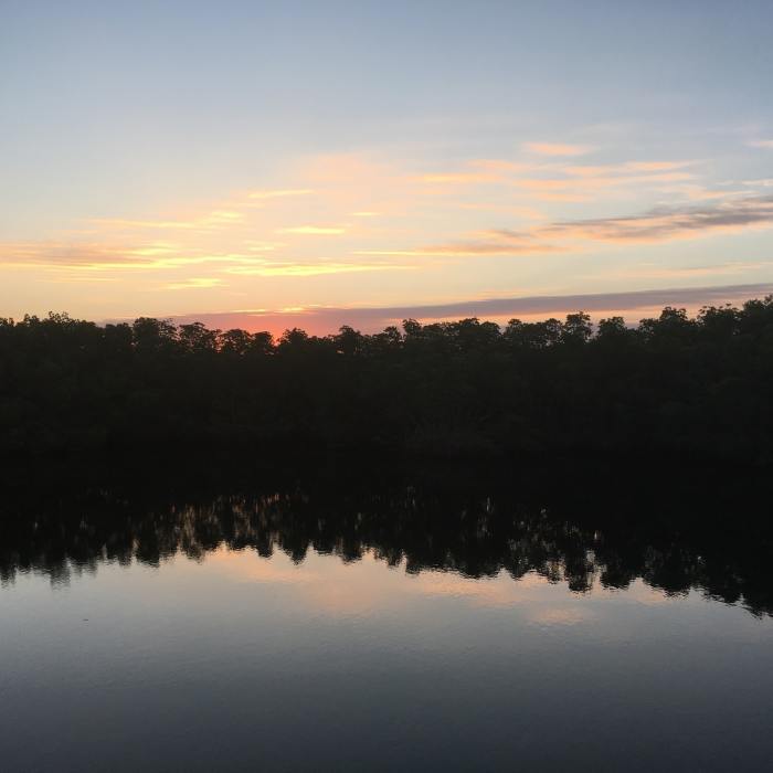 Near Weedon Island Preserve Route