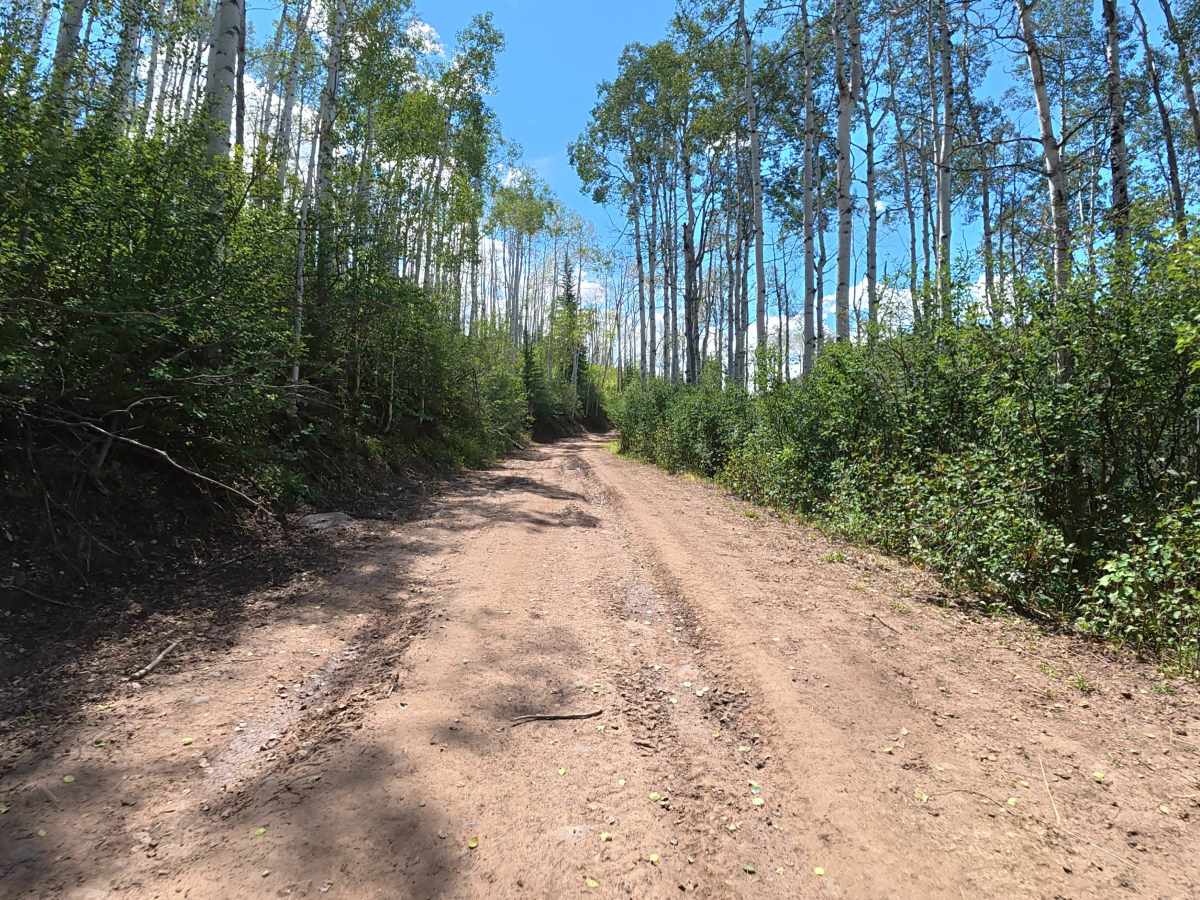 Fawn Creek Road trail photo