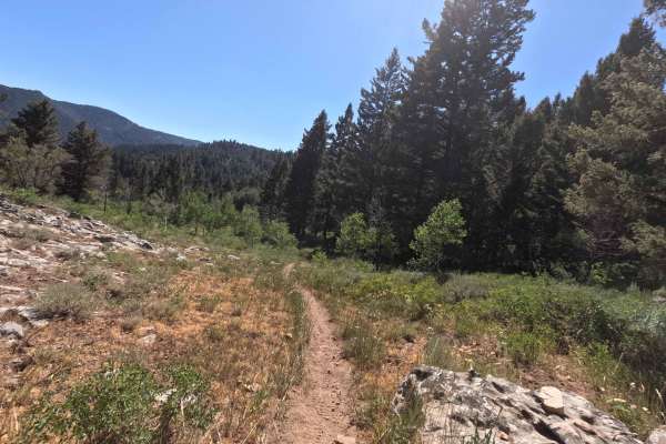 Davis Canyon