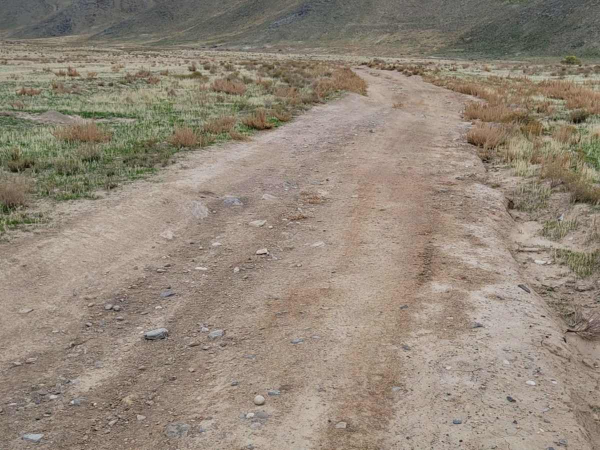 Round The Bend photo 4
