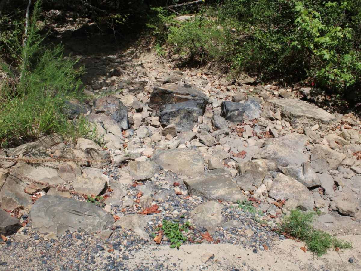 Polk Road 34 to Camping photo 4