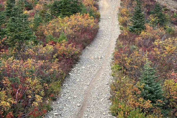 Thurston Loop