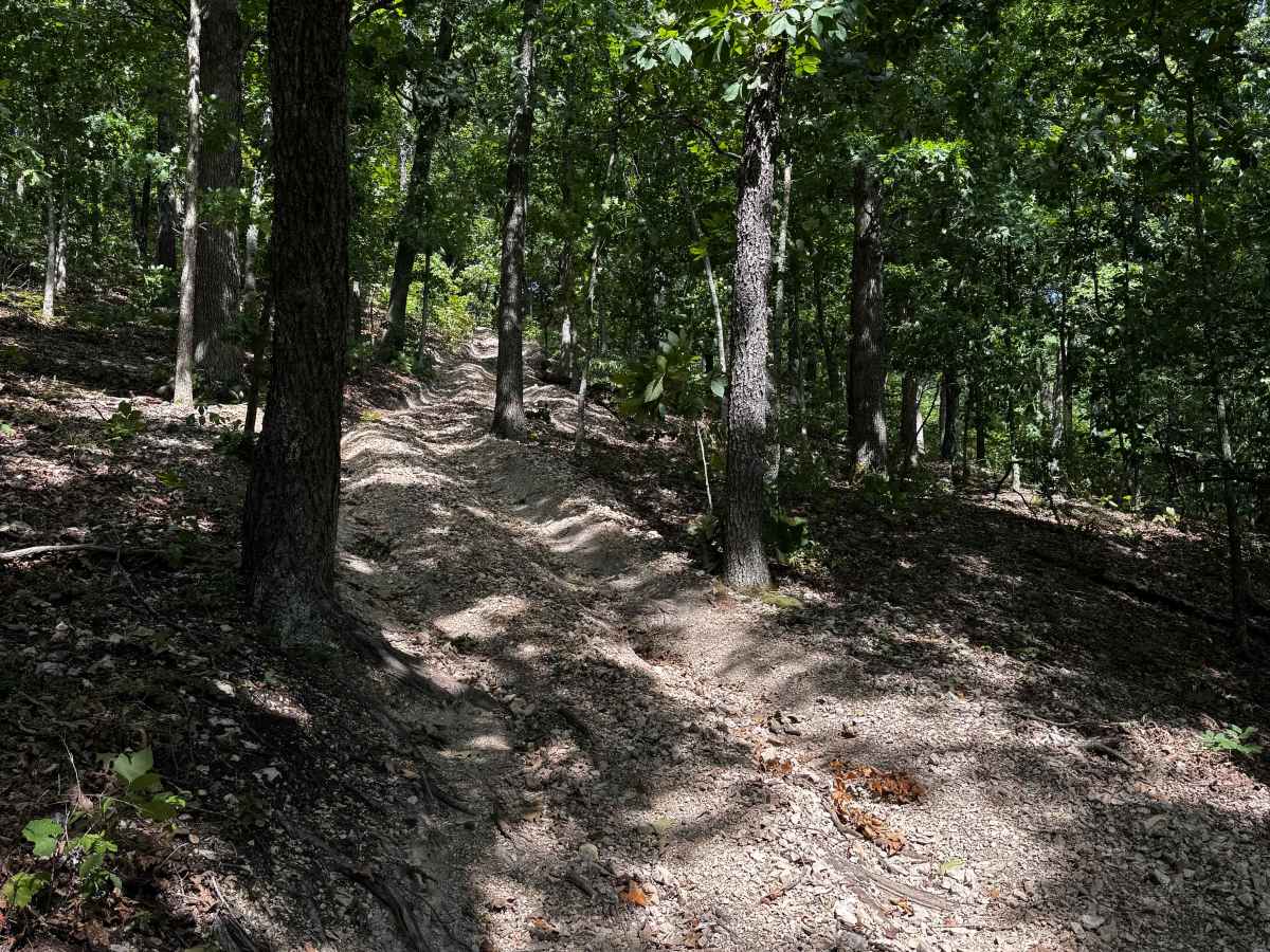 Hill Climb Overlook photo 3