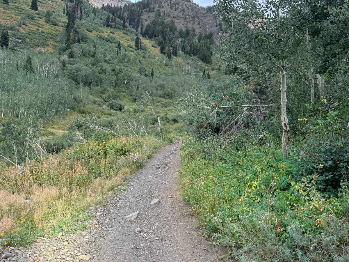 Mineral Fork Road photo 6