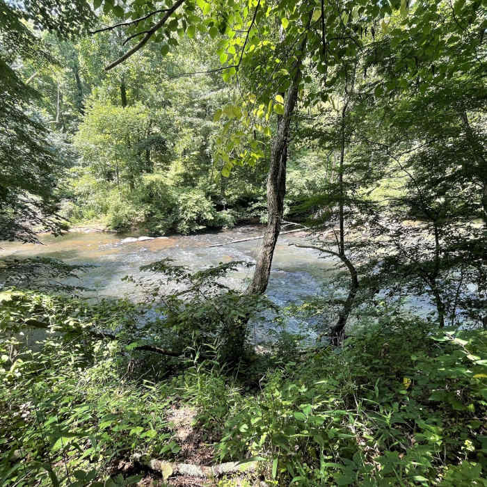 Near Allenbrook Trail