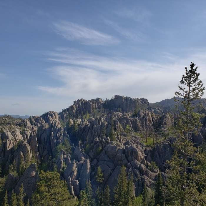 Black Elk Peak seen in the distance from a point on trail #9 Near Black Elk Peak