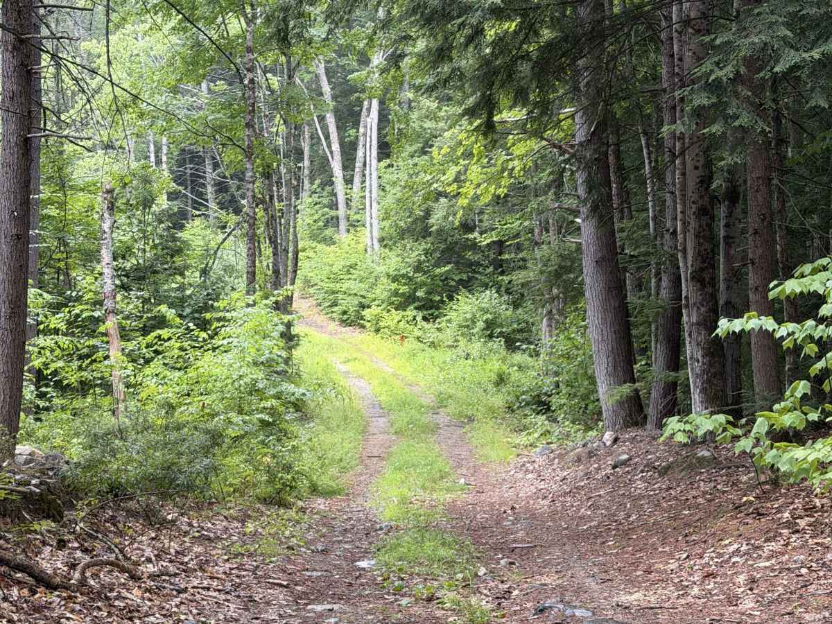 Bound Tree Road photo 2