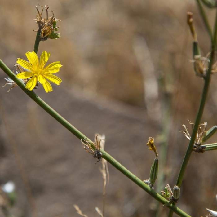 Near Horsethief Butte Hike + Rock Climbing Area