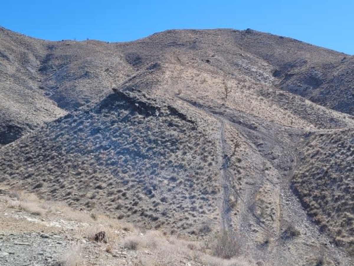 Trail 71 photo 3