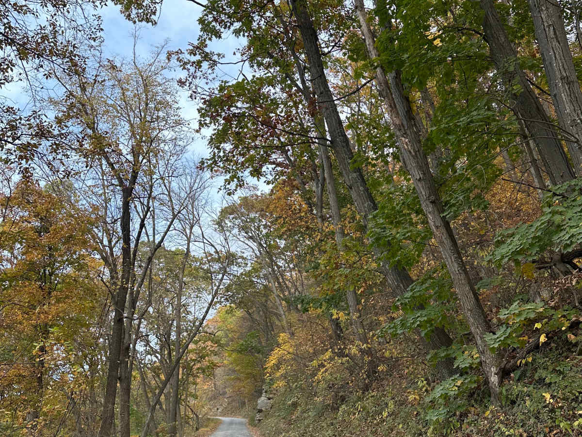 Woodstock Tower Road  photo 4