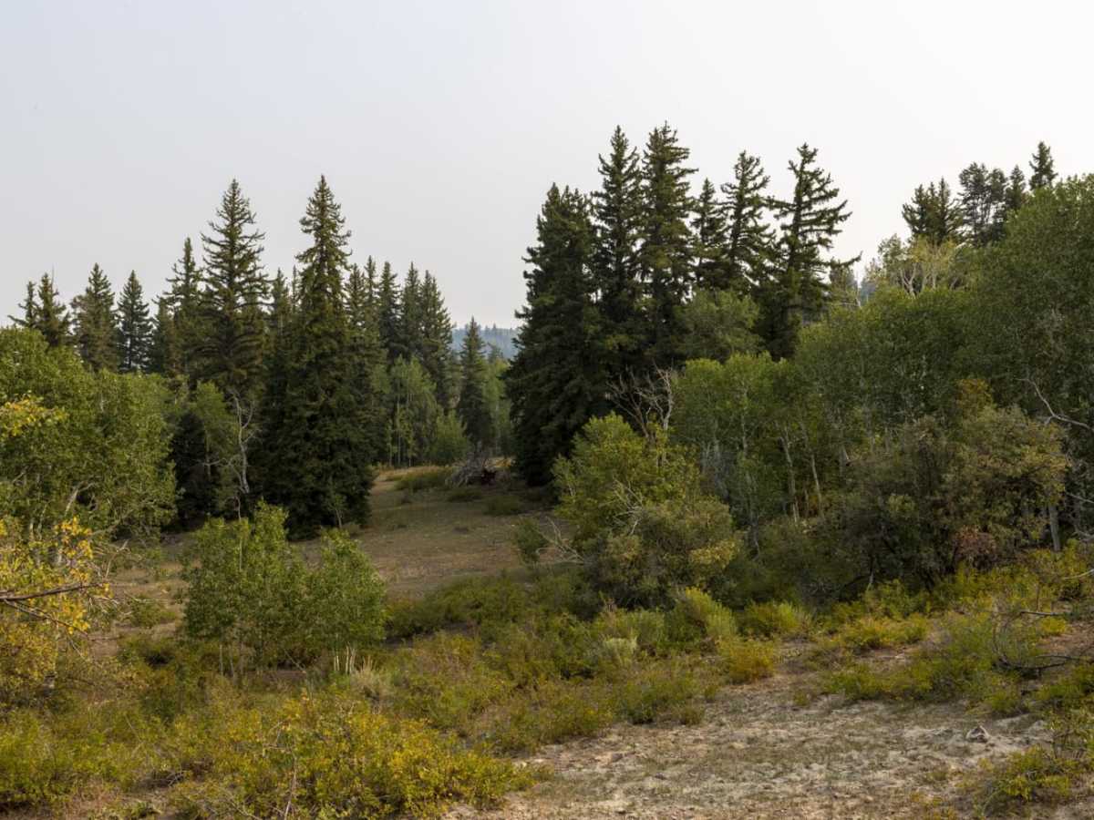 Bull Valley Trail photo 6