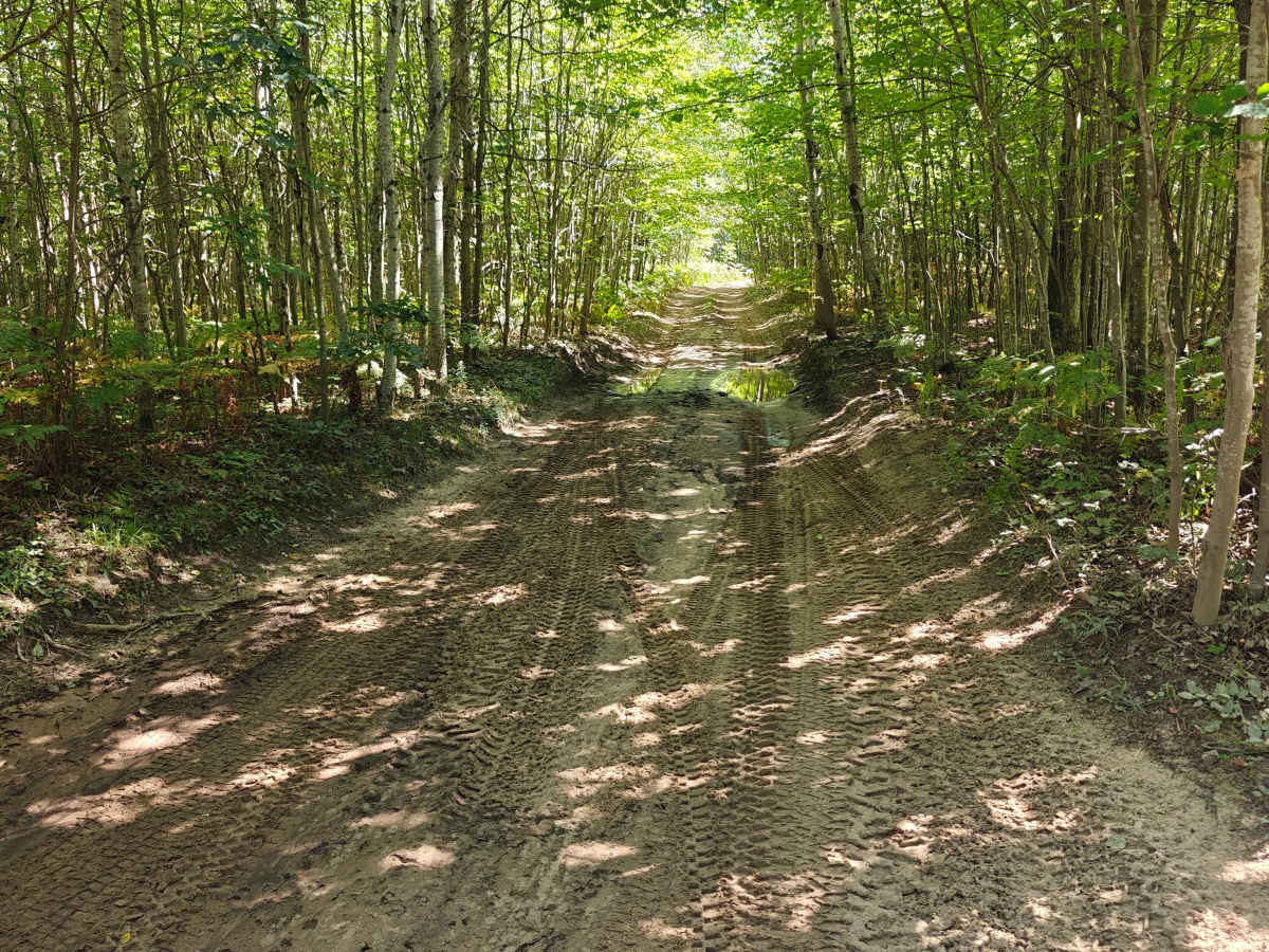Townline Creek Trail photo 5