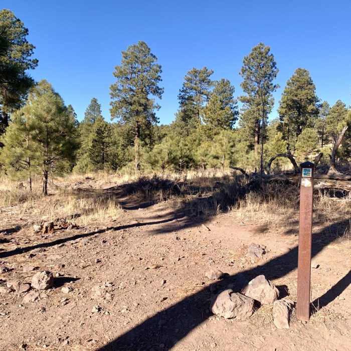 Near Highlands Trail Loop