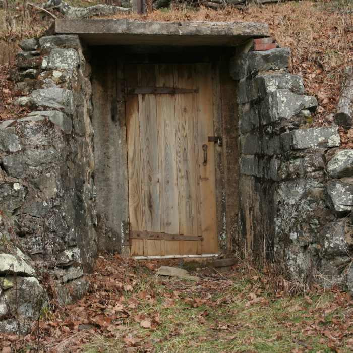 Near Lewis Falls Trail