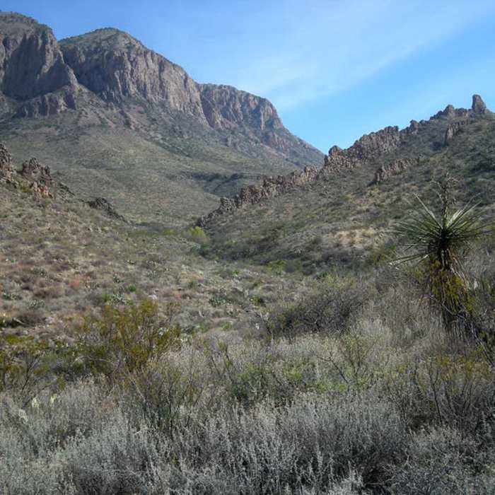 Near Ward Spring Trail