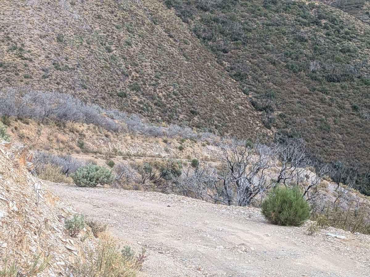 Buffalo Gulch Road photo 4
