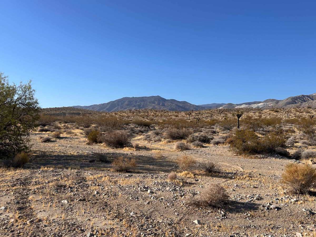 Big Horn Wash photo 4