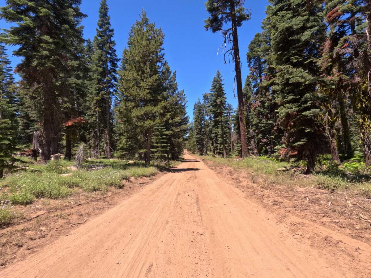 Peavine Corridor - FS 11N99A trail photo