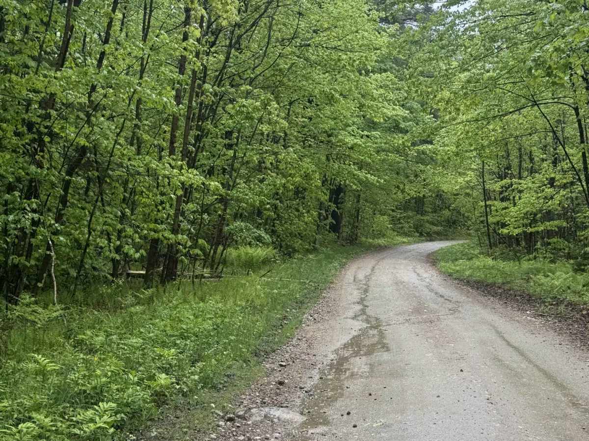 Lenox Whitney Place Road photo 3