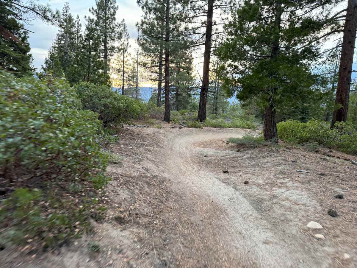 Corral Trail Alt Turns photo 3