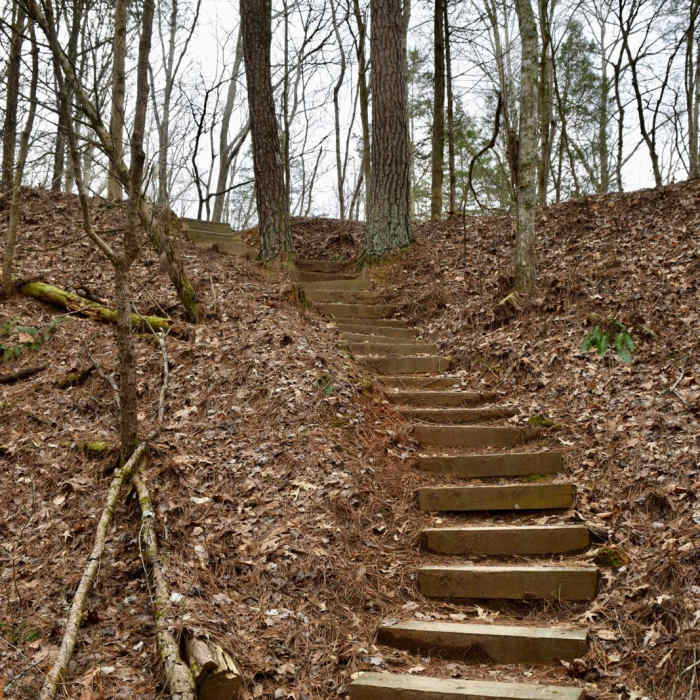 Near Montgomery Bell Trail Near Montgomery Bell Trail