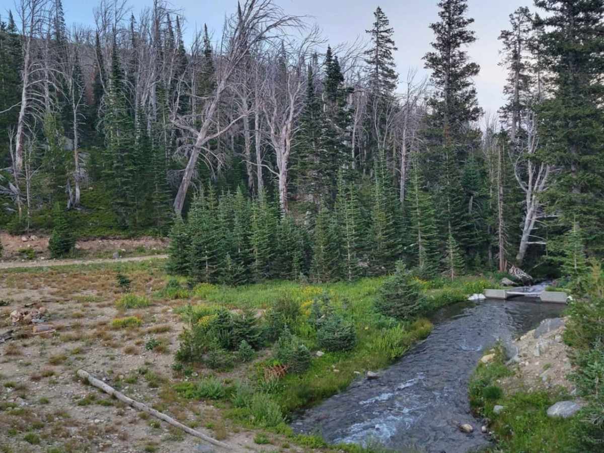 South Meadow Creek Lake photo 2
