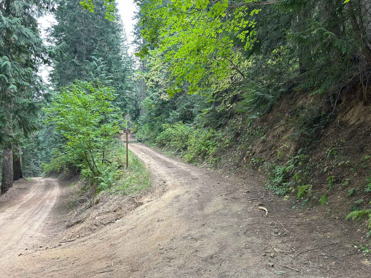 Baby Grand Ridge - FS 1433 trail photo