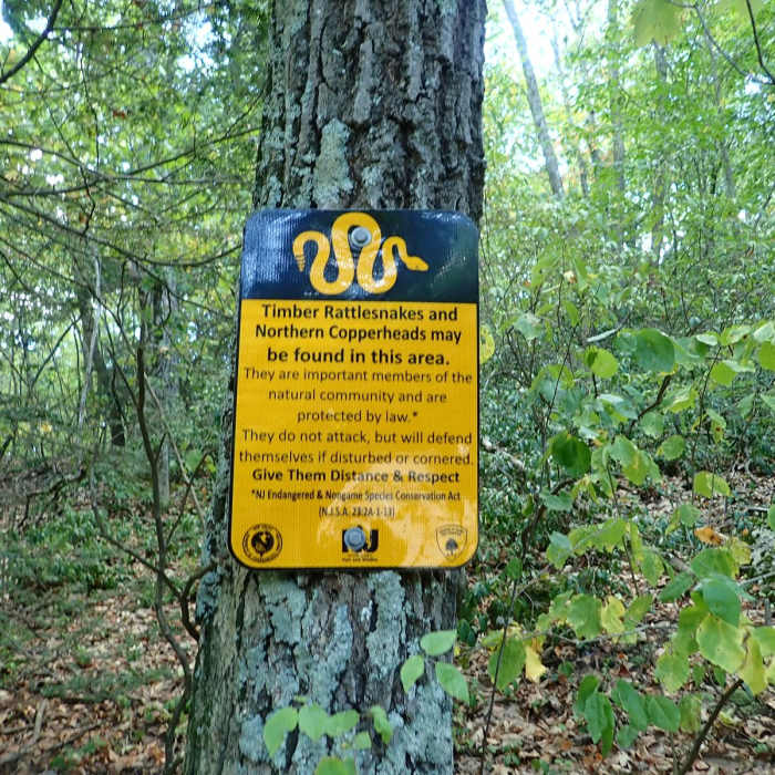 Near Terrace Pond West Loop Near Terrace Pond West Loop