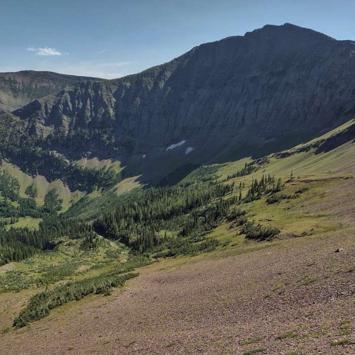 Near Great Divide Trail - Section A (Canada/USA Border to Coleman)