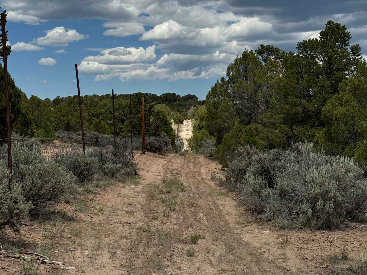 BLM 8461C photo 6