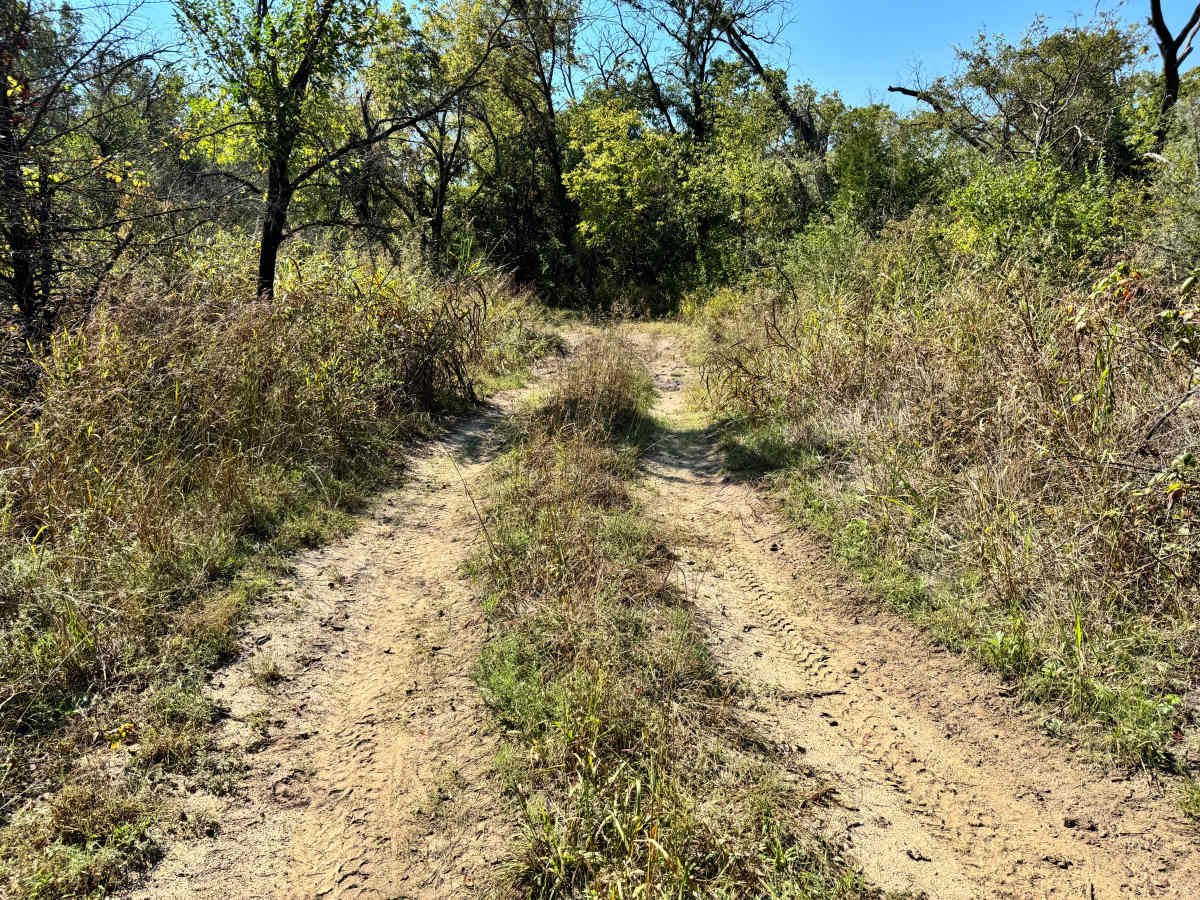 Rattle Trap Run photo 5