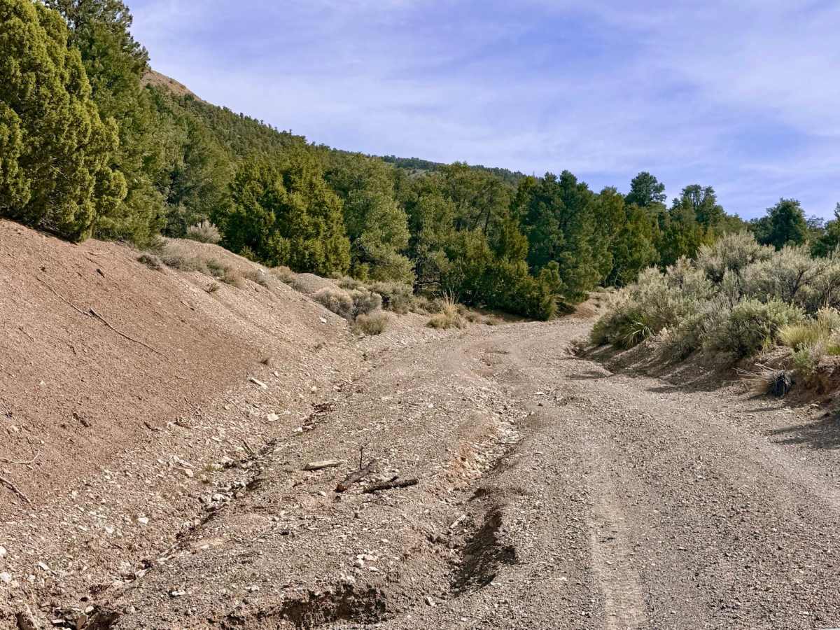 Dry Canyon South - FS 23004 photo 5