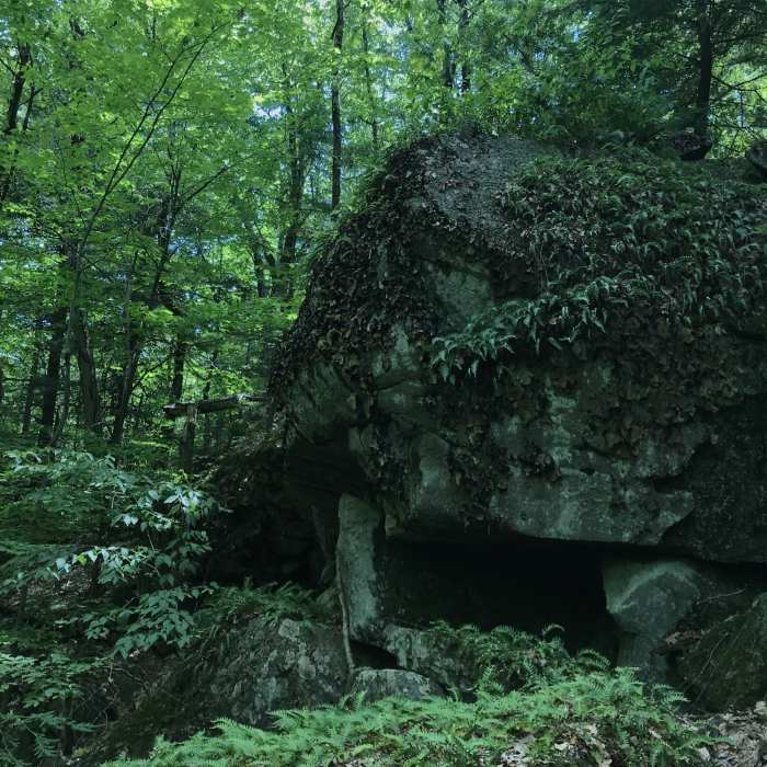 Near Pinnacle Rock Trail