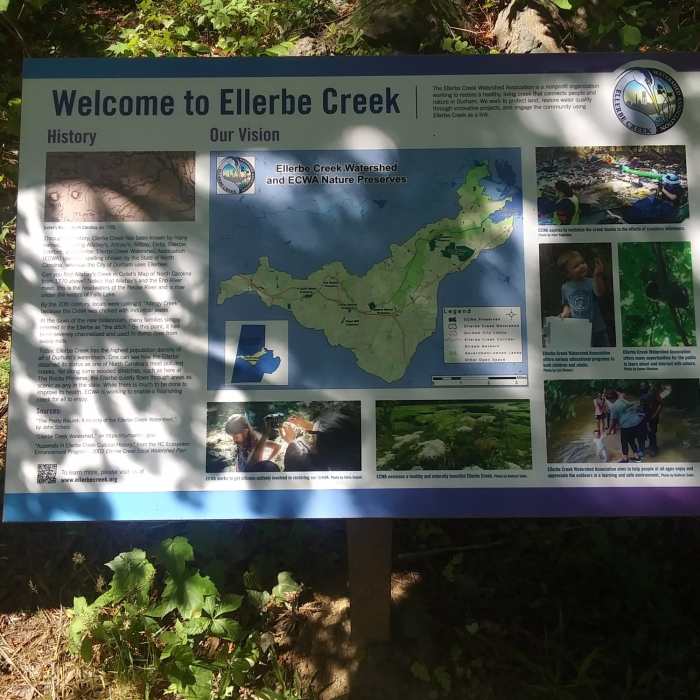 Near West Ellerbee Creek Trail