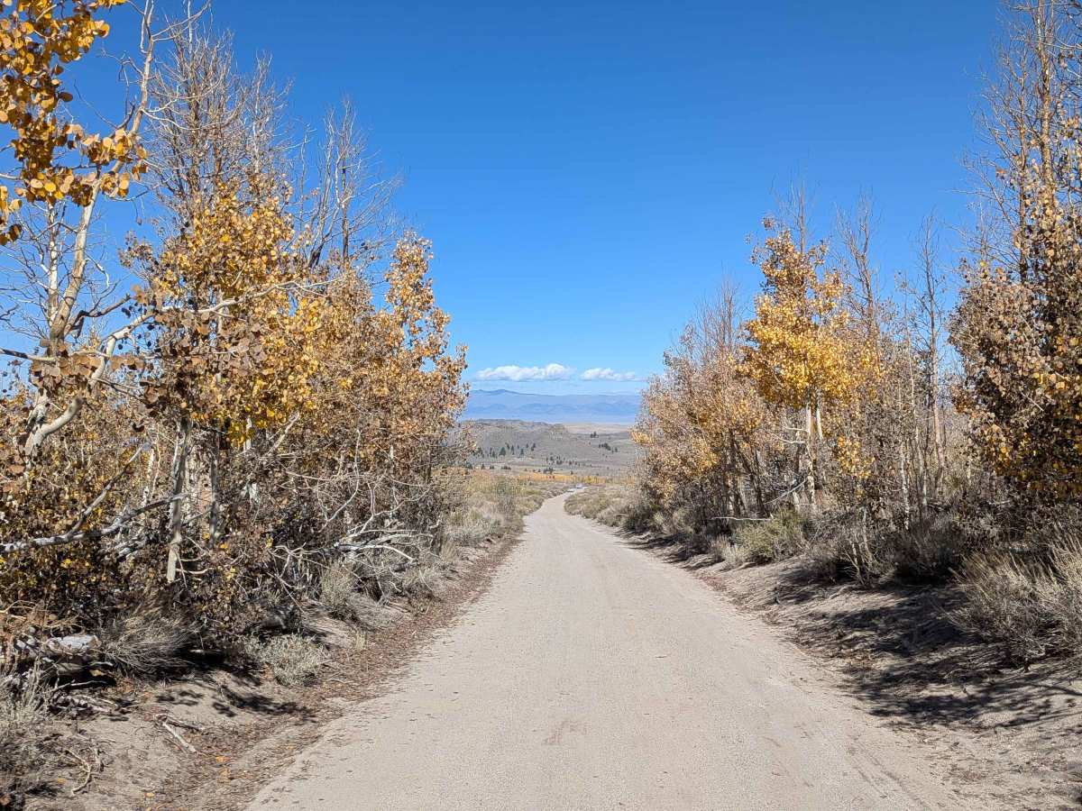 Sage Hen Meadows Road trail photo