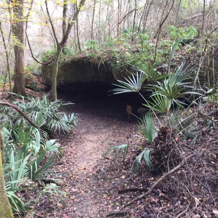 Near Bluff Trail
