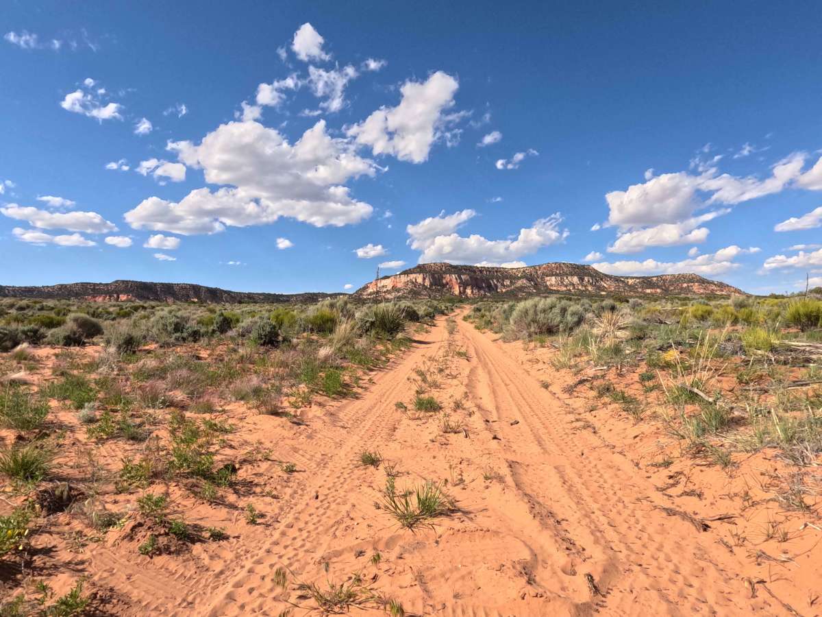 BLM 33 photo 4