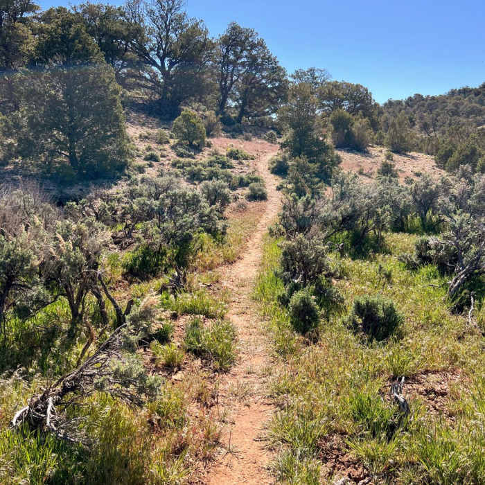 Near Arizona Trail Passage 43: Buckskin Mountain