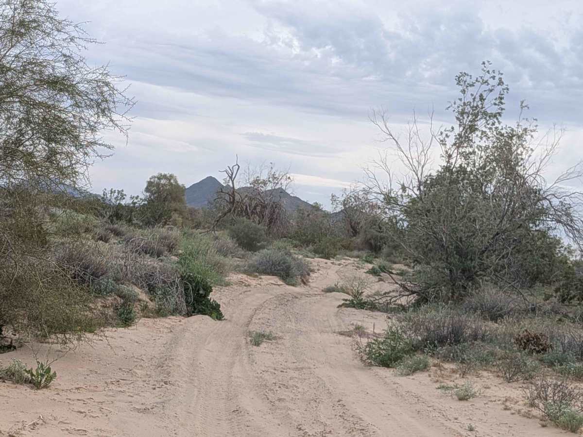 EC1219 trail photo