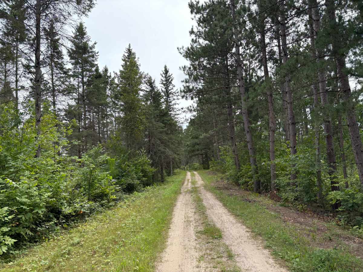 Camp 5 Trail trail photo