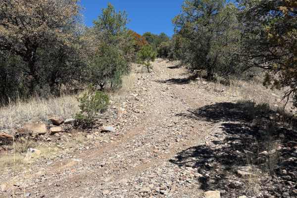 Hay Mesa - Trail 976 