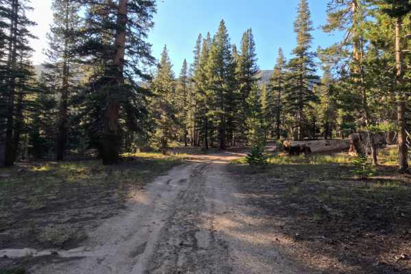 Unnamed Spur off Jobs Peak Trail Road - FS 31051