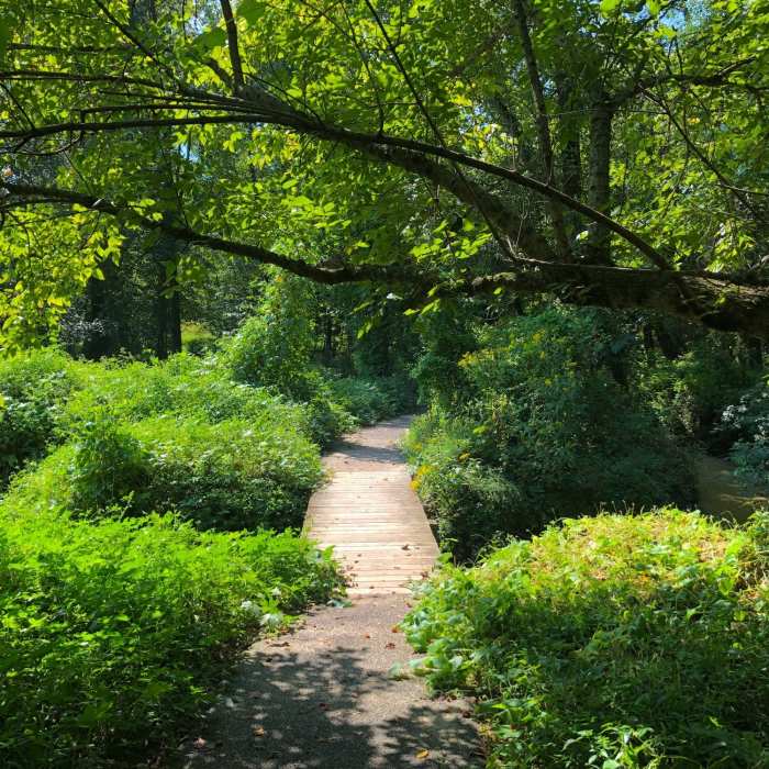 Boardwalk through the marsh on the Wetlands Trail Near Accotink Creek Two Lookouts Loop